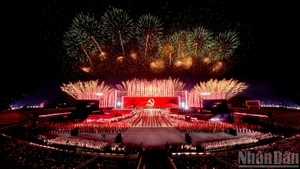 庆祝越共十四大烟花表演点亮河内市天空【组图】