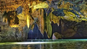 越南的16个东盟遗产公园【图表新闻】