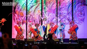 最具越南本色的文艺节目。