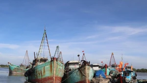 龙海乡的不符合经营要求渔船。（图片来源：baomoi.com）