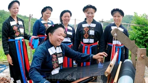 附图：2025年10月16日签发的第272/2025/ND-CP号法令规定了2026-2030年少数民族和山区的村、乡、省划定标准。（图片来源：越通社）