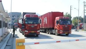 附图：越中在谅山口岸试点开展货物运输双向放行。（图片来源：越通社）
