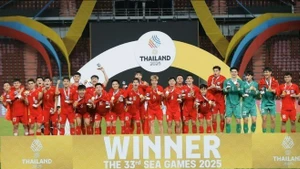 第33届东运会：越南体育迈向新高峰的征程。（图片来源：越通社）