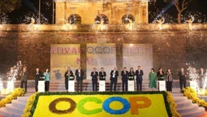 2025年越南OCOP节开幕。（图片来源：经济时报）