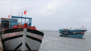 附图：岘港市推进船队结构重组，减少近海作业渔船数量。（图片来源：越通社）