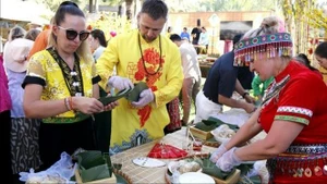 越南传统春节吸引西方游客