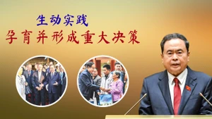 生动实践孕育并形成重大决策