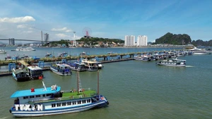 下龙湾景色。