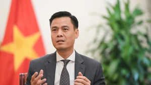 越南外交部副部长邓黄江。