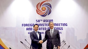 越南政府副总理兼外交部长裴青山会见日本外相岩屋毅。（图片来源：VGP）