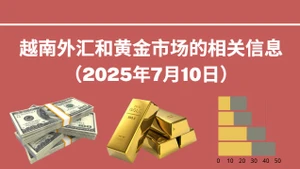 越南外汇和黄金市场的相关信息【图表新闻】