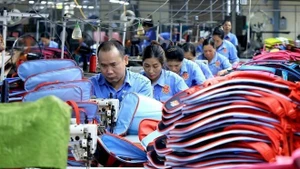 附图：越南对保出口额为1.87亿美元，增幅达32.2%。（图片来源：越通社）