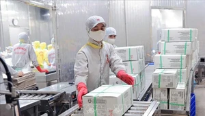 清化水产品进出口股份公司白贝出口包装中。(图片来源:越通社)