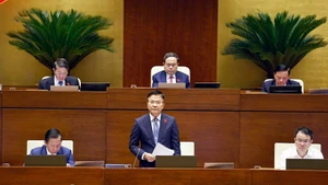 越南政府副总理黎成龙在会上发表讲话。（图片来源：越通社）