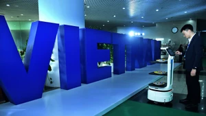 附图。（陈海 摄）