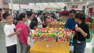 2025年秋季博览会推广河内精华。