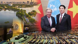 越南在《联合国打击网络犯罪公约》留下的烙印