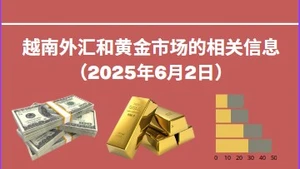 越南外汇和黄金市场的相关信息【图表新闻】