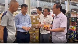 运抵法国后对荔枝质量进行检查。