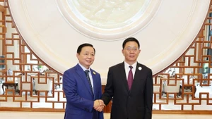 越南政府副总理陈红河会见了中共中央委员、云南省人民政府省长王予波。（图片来源：越通社）