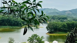 茶丘湖：太原省公河市的绿色明珠。