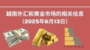 越南外汇和黄金市场的相关信息【图表新闻】