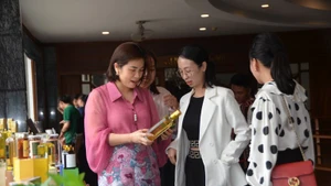 嘉莱省贸易促进活动吸引众多游客前来参观。