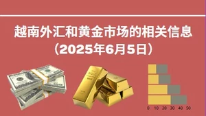 越南外汇和黄金市场的相关信息【图表新闻】