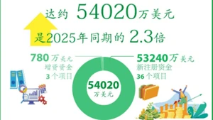 2026年前2月越南对外投资总额同比增长1.3倍【图表新闻】