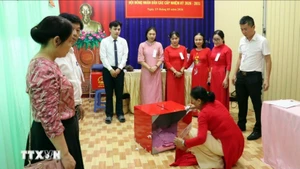 预计3月22日公布第十六届国会代表选举结果。（图片来源：越通社）