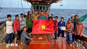 胡志明市全力以赴解除IUU"黄牌"警告。（图片来源：越通社）