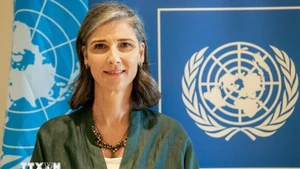 UNDP驻越首席代表拉姆拉·哈利迪。（图片来源：越通社）