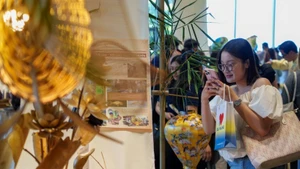 岘港市启动2026年旅游刺激计划和会奖旅游推广计划。（图片来源：越通社）