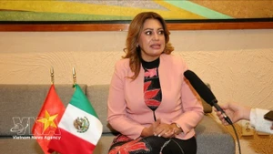 墨西哥劳动党议员、众议院福利委员会主席、墨越友好议员小组主席安娜·卡琳娜·罗霍·皮门特尔接受越通社驻墨西哥记者采访。（图片来源：越通社）