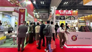 越南的展位吸引大量游客前来参观。（图片来源：越通社）