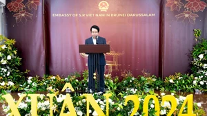 越南驻文莱大使陈英宇。