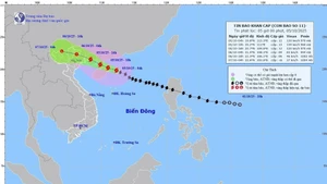 10月5日上午8点，第11号台风的移动情况。