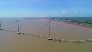 越南以制度创新 破解能源安全挑战【视频】