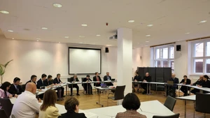 越南共产党与德国左翼党第六次政策对话场景。（图片来源：越通社）