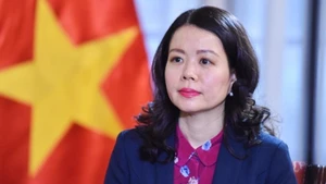 南外交部副部长阮明姮。