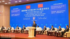 越南政府副总理梅文正发表讲话。