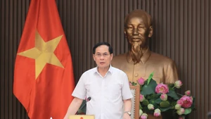 越南政府副总理兼外长裴青山主持会议。（图片来源：baochinhphu.vn）