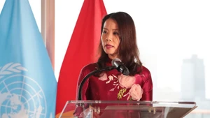 越南外交部副部长阮明姮发表讲话。