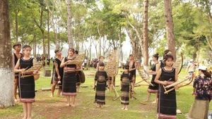 嘉来省民族乐器演奏。