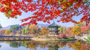 韩国红叶季之美。