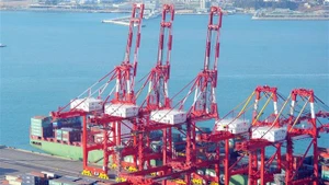 位于韩国釜山的港口。（图片来源：越通社）