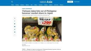 《日经亚洲》刚刊登题为《越南占据日本香蕉市场份额》的文章。
