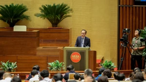 越南外交部代部长黎怀忠发表讲话。