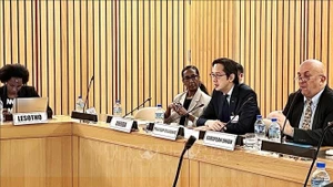 越南常驻联合国代表团团长、《不扩散核武器条约》第十一次审议大会指定主席杜雄越大使主持会议。（图片来源：越通社）