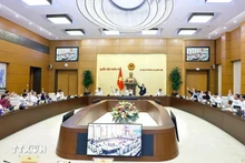 国会常委会表决。（图片来源：越通社）